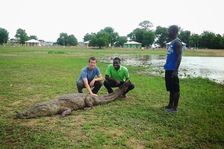 Paga Crocodile