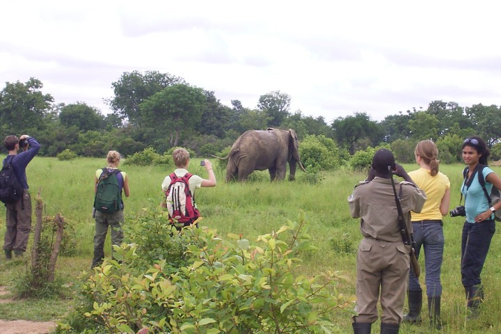 Mole National Park